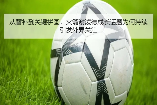 从替补到关键拼图，火箭谢泼德成长话题为何持续引发外界关注